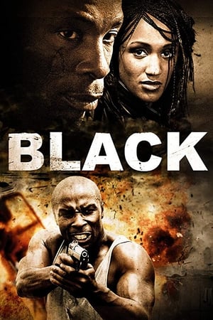 Poster Black 2009