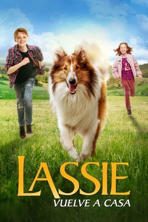 Poster Lassie Vuelve a Casa 2020