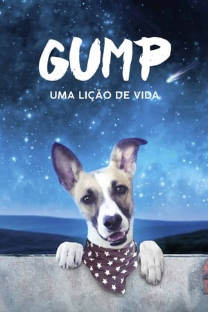 Image Gump – pes, který naučil lidi žít