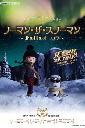 Image Norman the Snowman – The Northern Lights