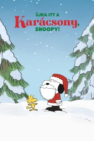 Image Újra itt a karácsony, Snoopy!