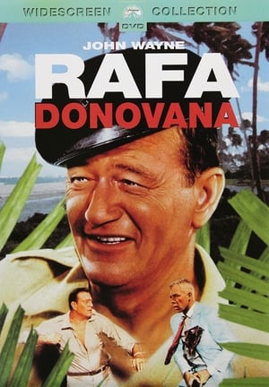 Poster Rafa Donovana 1963