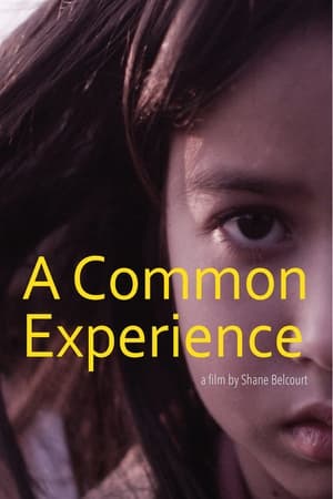 Poster A Common Experience 2013