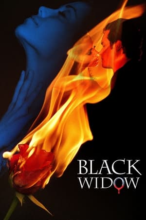 Poster Black Widow 2008