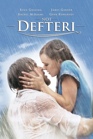 Poster Not Defteri 2004