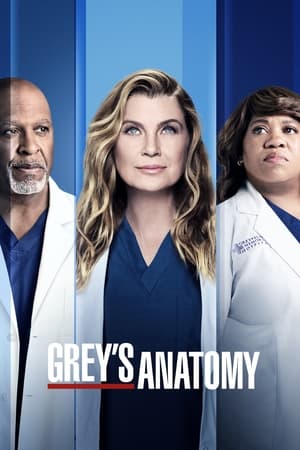 Poster Grey's Anatomy Season 18 The Makings Of You 2022