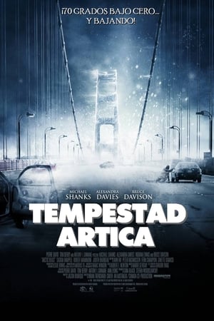 Poster Tempestad ártica 2010