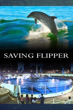 Poster Saving Flipper 2009
