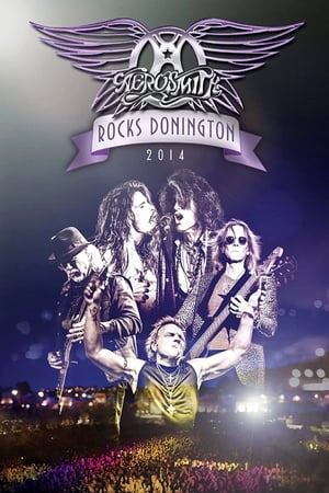 Image Aerosmith - Rocks Donington 2014