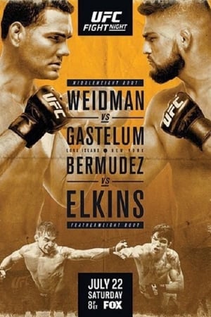 Poster UFC on Fox 25: Weidman vs Gastelum 2017