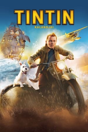 Poster Tintin kalandjai 2011