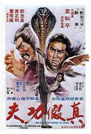 Poster Zhen jia gong fu 1977