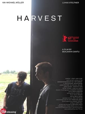 Image Harvest