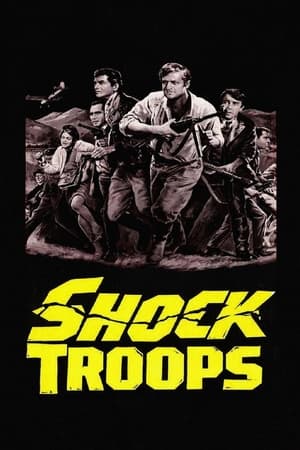 Image Shock Troops
