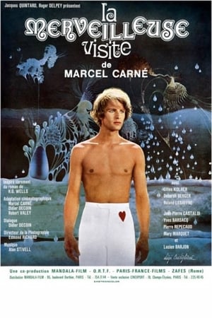 Poster La Merveilleuse visite 1974
