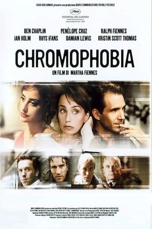 Poster Chromophobia 2006