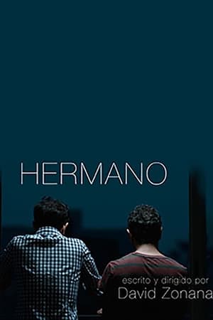 Poster Hermano 2017