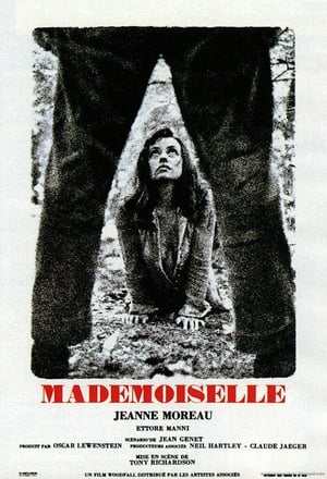 Poster Mademoiselle 1966