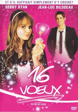 Poster 16 vœux 2010