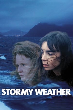 Poster Stormviðri 2003