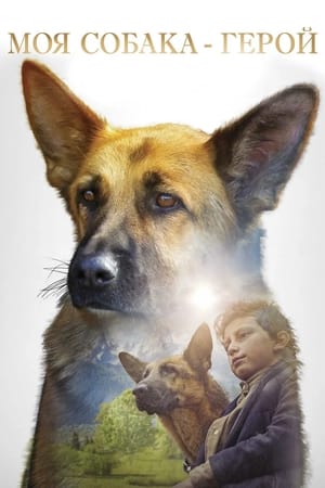 Poster Моя собака — герой 2020