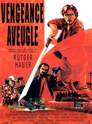 Poster Vengeance aveugle 1989