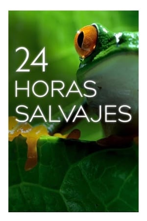 Poster 24 Horas Salvajes Season 1 Junglas 2020