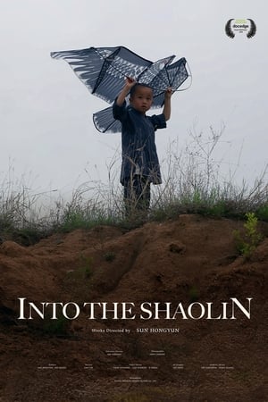 Image Into the Shaolin