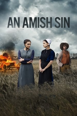 Poster An Amish Sin 2022