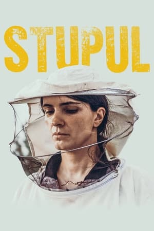 Poster Stupul 2021