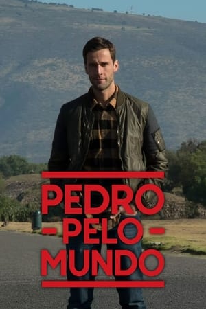 Poster Pedro the Wanderer 2016
