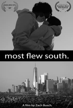 Poster Most Flew South 2020
