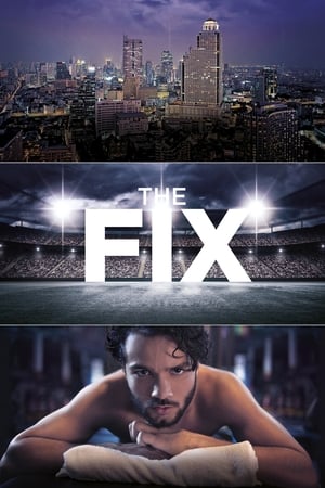 Poster The Fix 2017