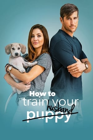 Poster How to Train Your Husband 2018