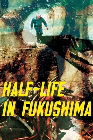 Image Half-Life in Fukushima