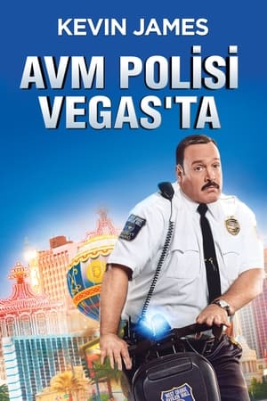 Poster AVM Polisi Vegas'ta 2015