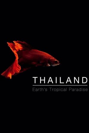 Image Thailand: Earth's Tropical Paradise