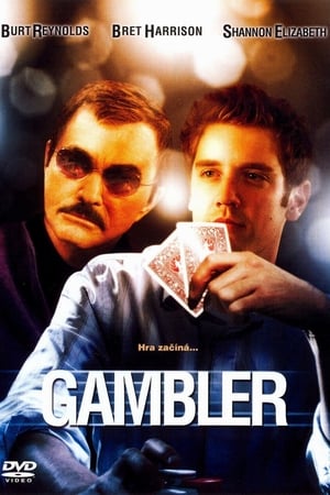 Poster Gambler 2008