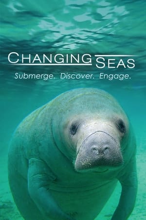 Poster Changing Seas 2009