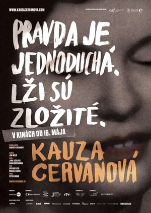 Poster Kauza Cervanová 2013
