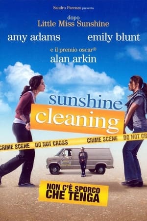 Poster Sunshine Cleaning - Non c’è sporco che tenga 2008