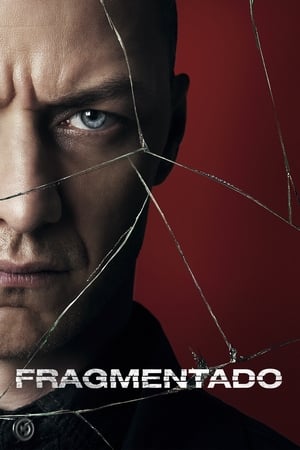 Poster Fragmentado 2017