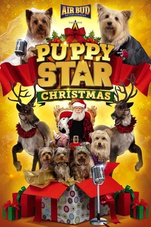 Image Puppy Star Kerstmis