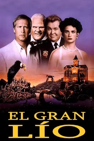 Poster El gran lío 1991