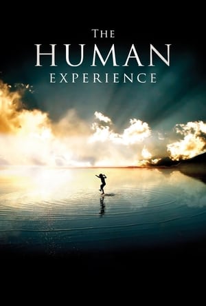 Poster The Human Experience 2008
