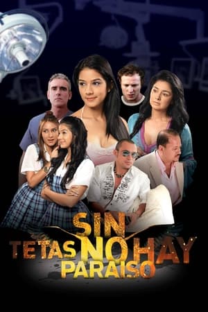 Poster Sin tetas no hay paraíso 2010