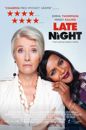 Poster Late Night 2019