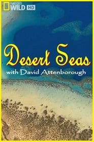 Desert Seas (TV Movie)