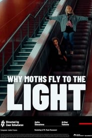 Why Moths Fly to the Light? (2020)