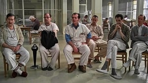One Flew Over the Cuckoo’s Nest